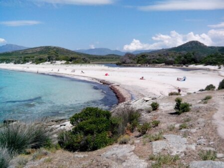 Vista di un residence sul mare in Corsica con palazzine e giardino